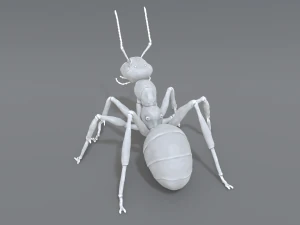 mier 3D printmodel