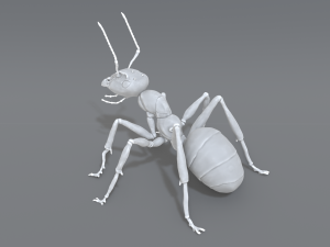 ant 3D प्रिंट मॉडल