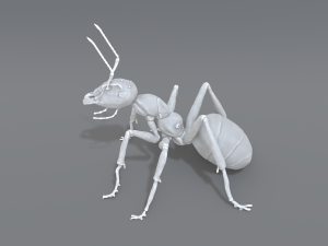 ant 3D प्रिंट मॉडल