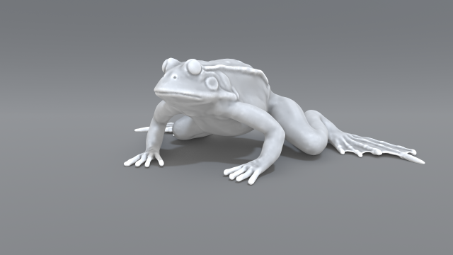 frog 3D Принт Модель .c4d .max .obj .3ds .fbx .stl .blend 