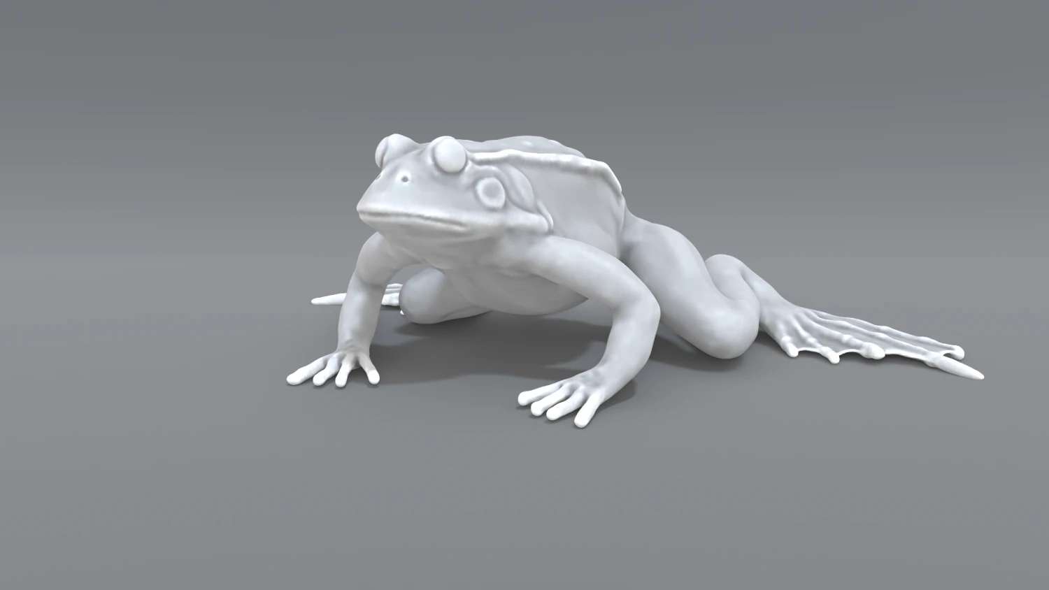 frog 3D Print Model .c4d .max .obj .3ds .fbx .stl .blend 