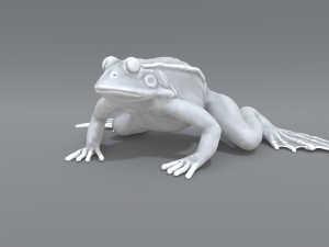 frog 3D-printmodel