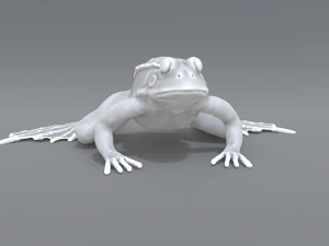frog 3D Print Model