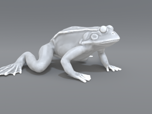frog 3D Принт Модель
