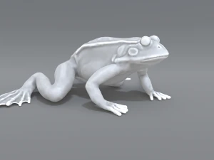 frog 3D Print Model