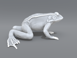frog 3D Принт Модель