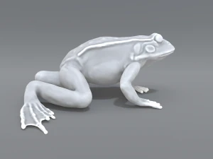 frog 3D Print Model