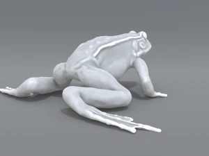 frog 3D Print Model
