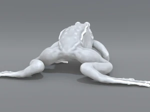 frog 3D Print Model