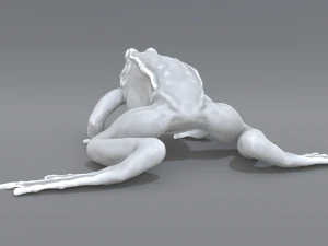 frog 3D Print Model