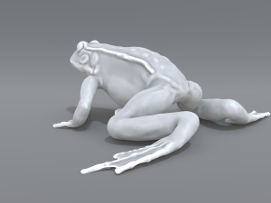 frog 3D Принт Модель