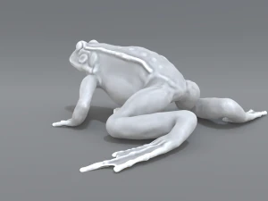 frog 3D Print Model
