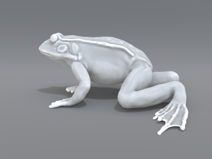 frog 3D Принт Модель