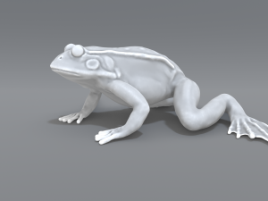 frog 3D Принт Модель