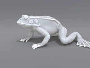 frog 3D Print Model