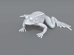 frog 3D Принт Модель