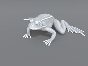 frog 3D Print Model