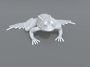 frog 3D Print Model