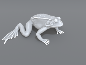 frog 3D Принт Модель