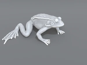 frog 3D Print Model