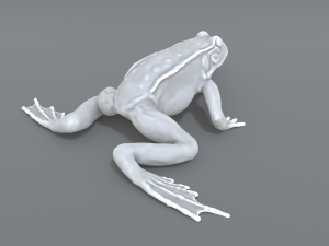 frog 3D Принт Модель