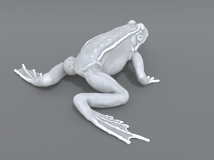 frog 3D Print Model