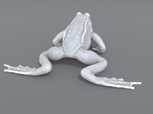 frog 3D Принт Модель