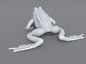 frog 3D Принт Модель