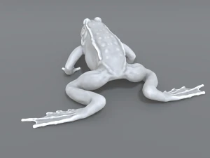 frog 3D Print Model
