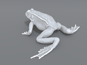frog 3D Принт Модель