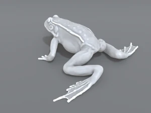 frog 3D Print Model