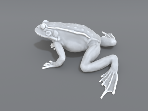 frog 3D Принт Модель