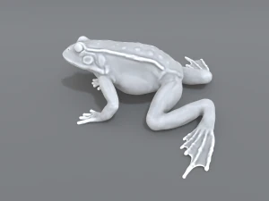 frog 3D Print Model
