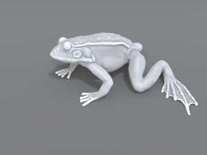 frog 3D Принт Модель