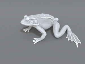 frog 3D Print Model