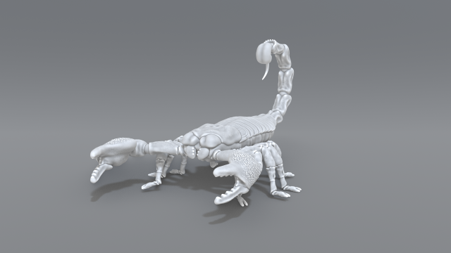 scorpion 3D printmodel .c4d .max .obj .3ds .fbx .stl .blend