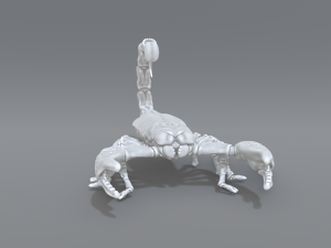 scorpion 3D printmodel