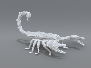 scorpion 3D printmodel