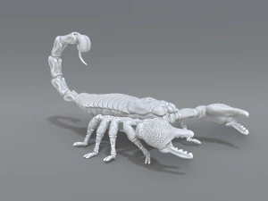 scorpion 3D Print Model