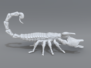 scorpion 3D printmodel
