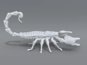 scorpion 3D Print Model