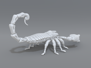 scorpion 3D printmodel