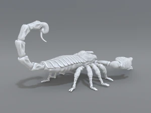 scorpion 3D Print Model