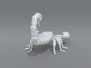 scorpion 3D printmodel