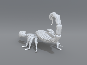 scorpion 3D printmodel