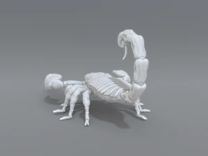 scorpion 3D Print Model