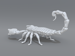 scorpion 3D printmodel