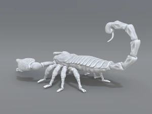 scorpion 3D Print Model