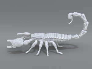 scorpion 3D printmodel