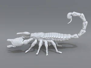 scorpion 3D Print Model